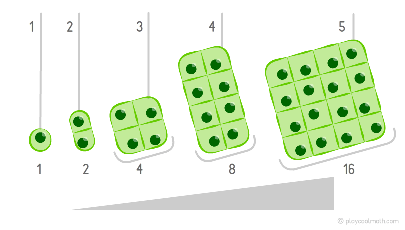 Increasing pattern by the example of cell division